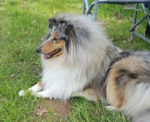 1dc634d66e159a34ffff8051ffffffef