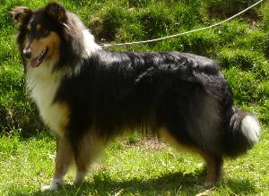 b98ae2037a166ac4ffff8104ffffffef