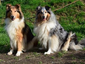 bab89044f25146c2ffff8015ffffffef