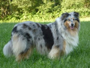 179146_431713823539495_344465473_n