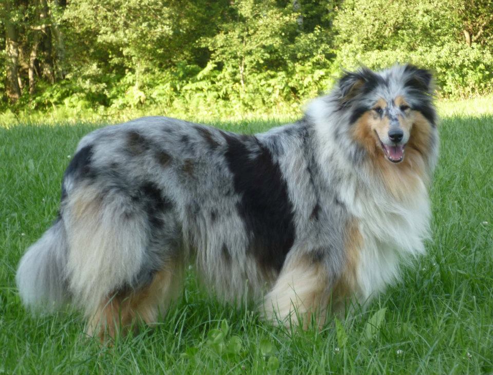 179146_431713823539495_344465473_n