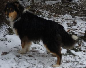 334688_327544707289741_1479266109_o