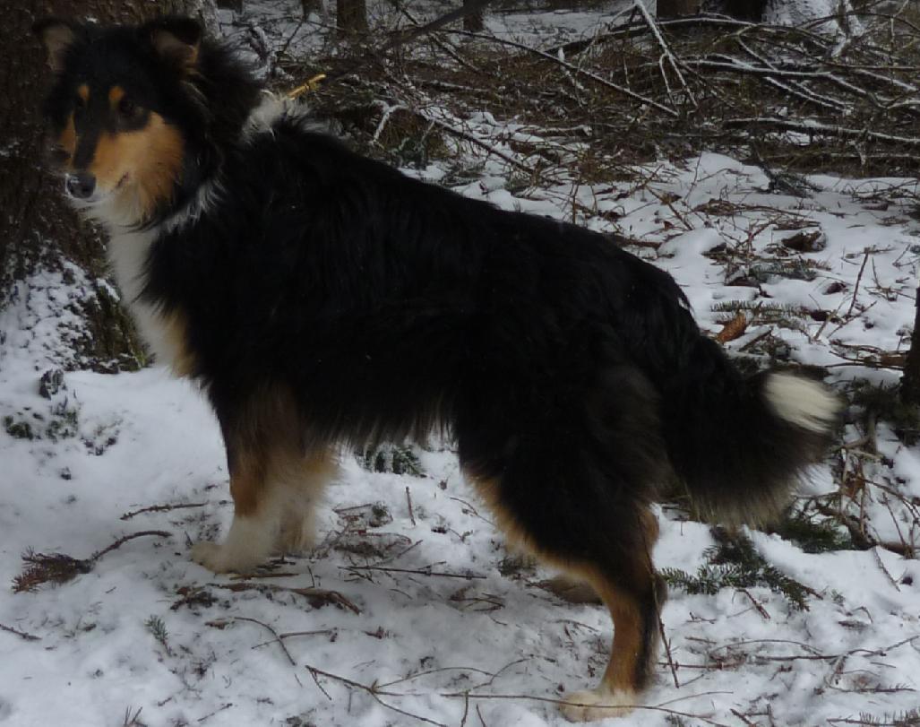 334688_327544707289741_1479266109_o