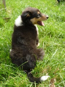 334692_327545407289671_236110170_o