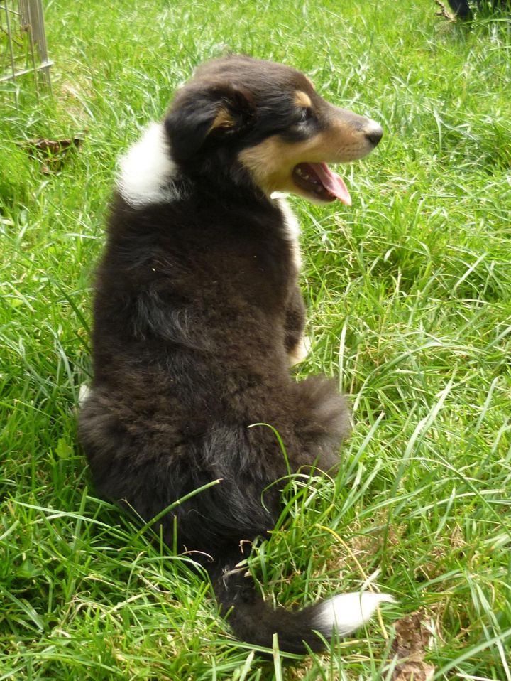 334692_327545407289671_236110170_o