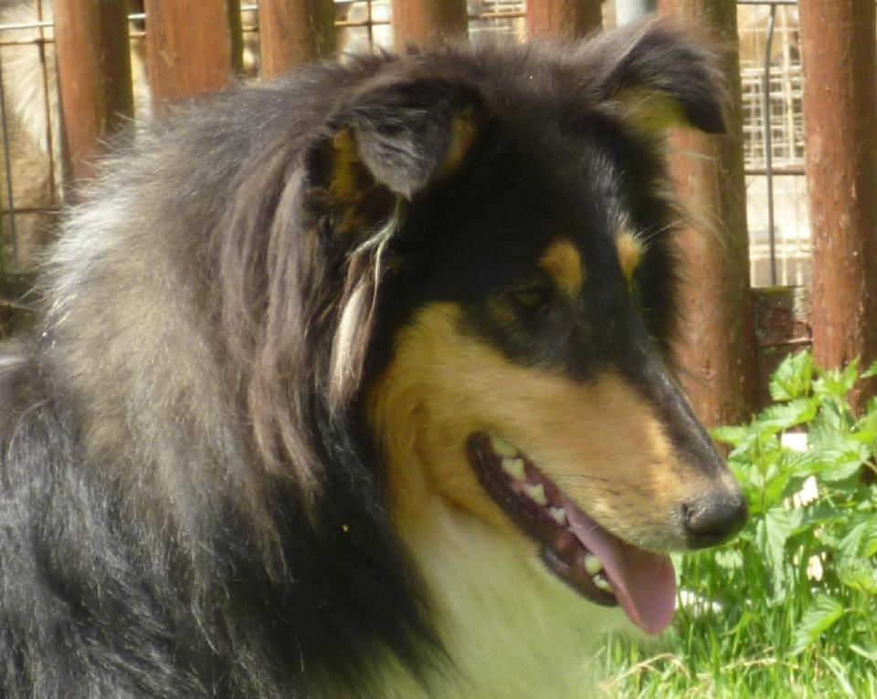 389339_393600520684159_1940803373_n