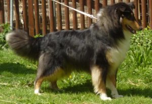 392483_393600467350831_2021293313_n