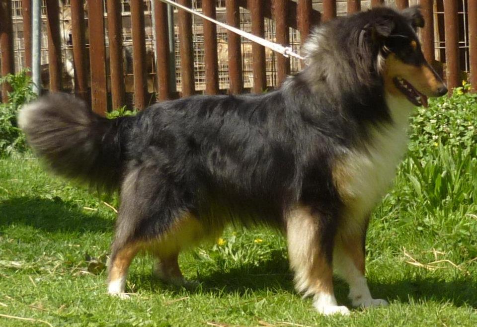 392483_393600467350831_2021293313_n