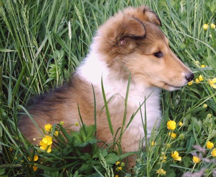 394046_327555047288707_116172007_n