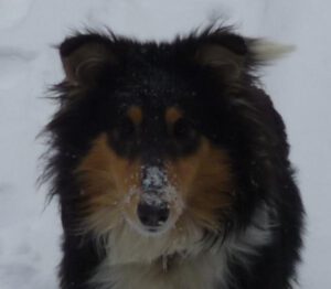 396270_327544587289753_145361042_n