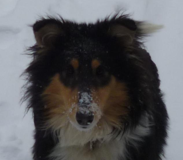 396270_327544587289753_145361042_n