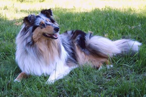 402453_327627950614750_1561823770_n