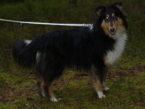 403824_360481967329348_132987213_n