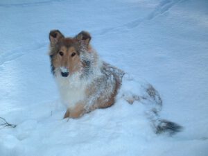 405668_327555953955283_1940003311_n