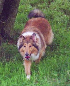 407996_327554990622046_45913322_n