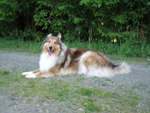 409256_327554807288731_578721693_n