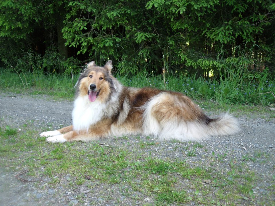 409256_327554807288731_578721693_n