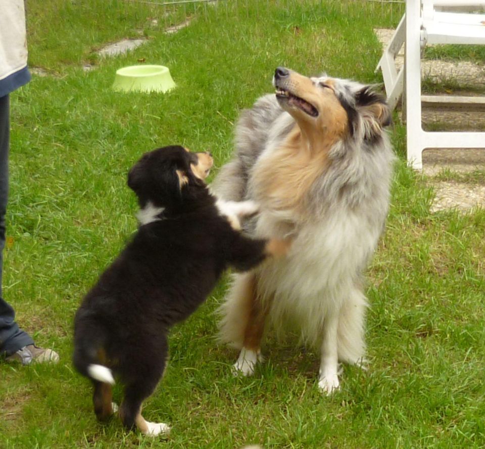 415262_327545133956365_1528122702_o