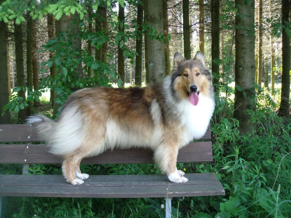 420017_327554633955415_1702524861_n