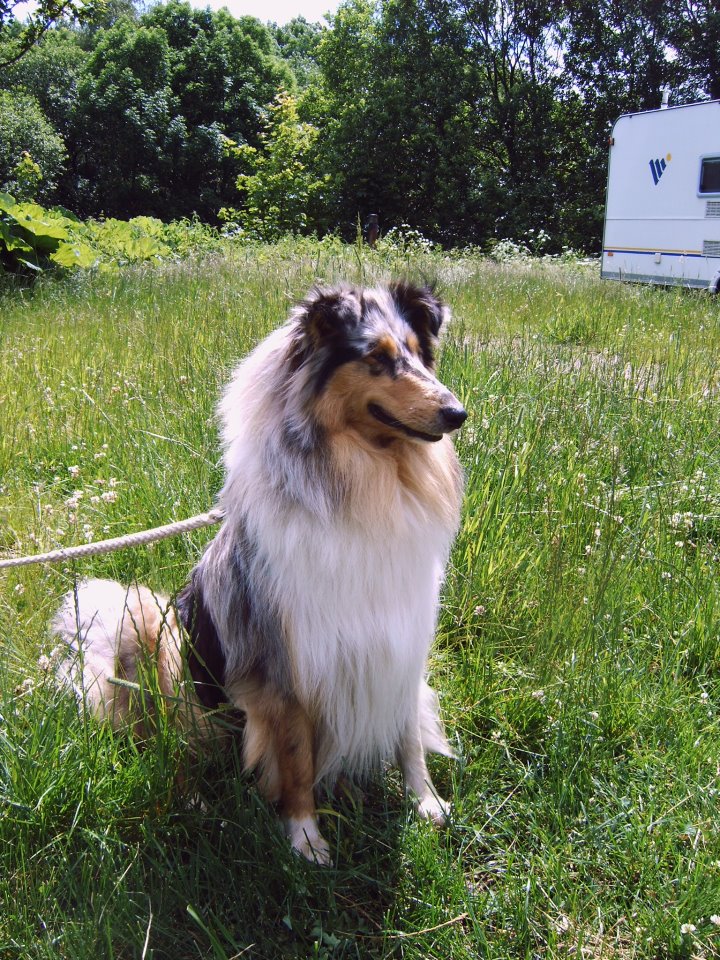 422867_327631270614418_966263078_n