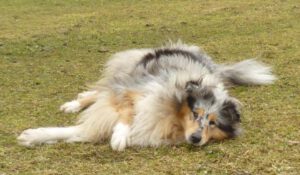 426017_343218182389060_896376543_n