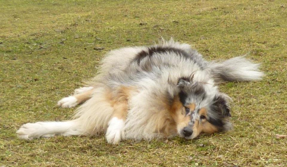 426017_343218182389060_896376543_n