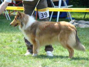 429740_327555170622028_1372135268_n