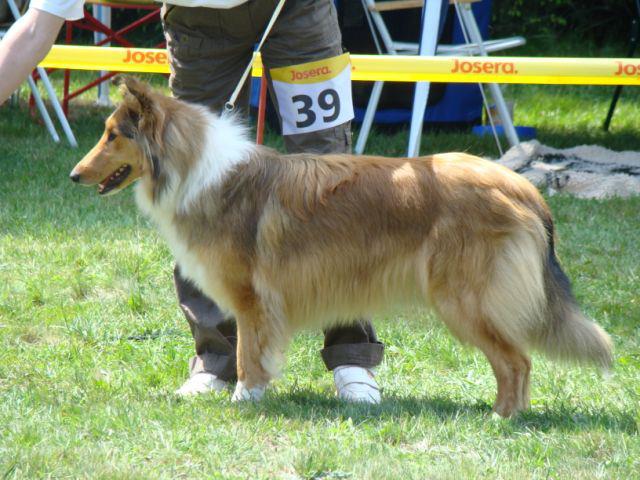 429740_327555170622028_1372135268_n