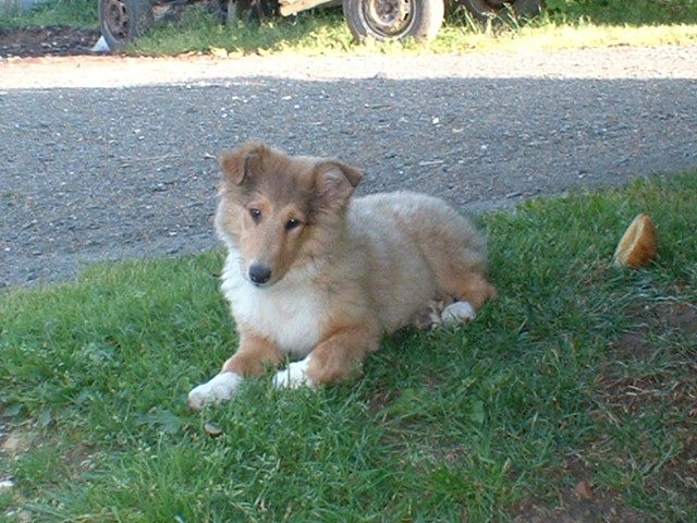 430270_327555390622006_1366635479_n