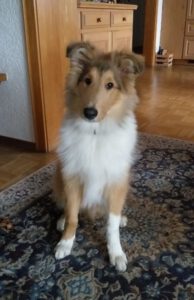 Feras_Askan_20181111