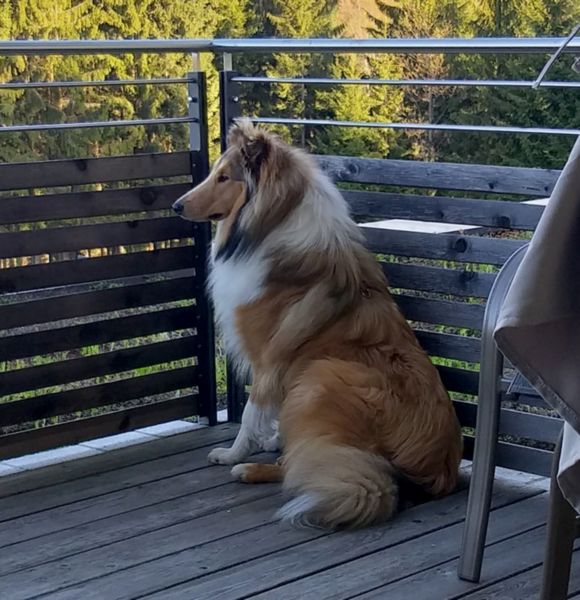 Ferras_Askan-20190522