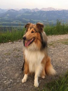 Finia_Lissy-20190617-21