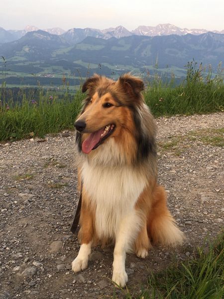 Finia_Lissy-20190617-21