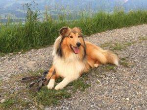 Finia_Lissy-20190617-23