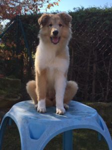 Finia_Lissy_20181013