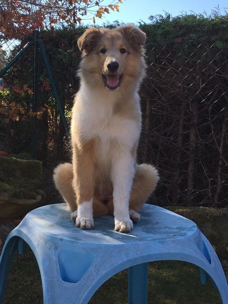 Finia_Lissy_20181013