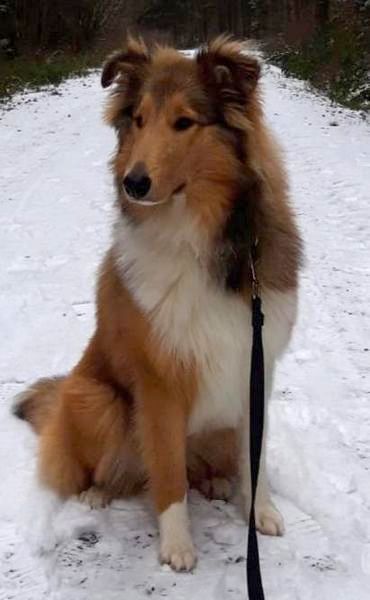 Finia_Lissy_20190204