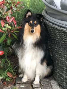 Ihara_Saeipa_20200708