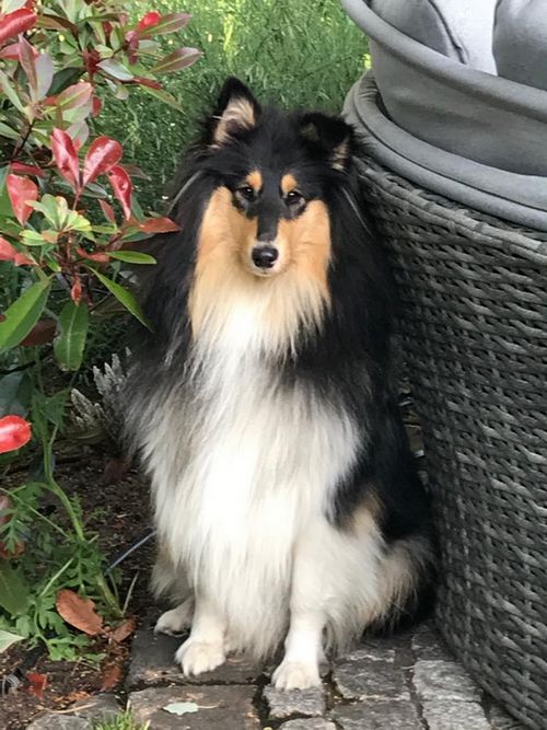 Ihara_Saeipa_20200708