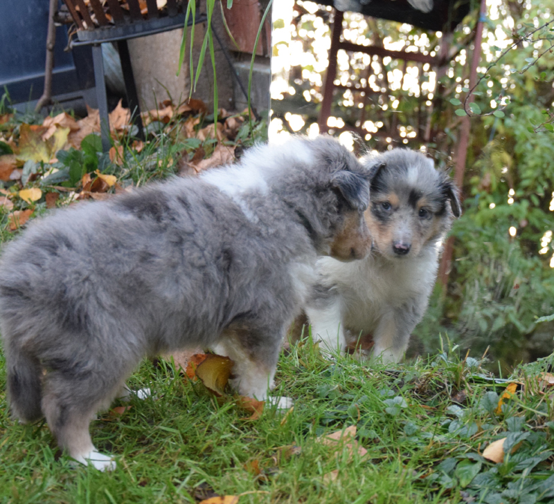 5W hellgrün Lakisha