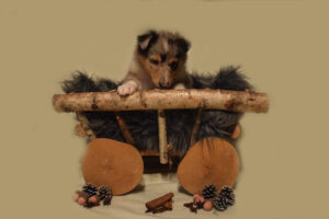 6W hellgrün Lakisha