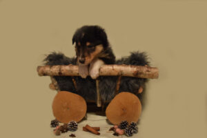 6W hellgrün2 Lucifer