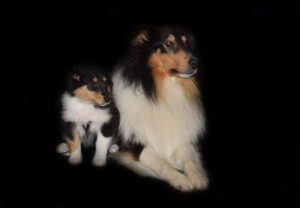 8W d grün Lamia Kopie