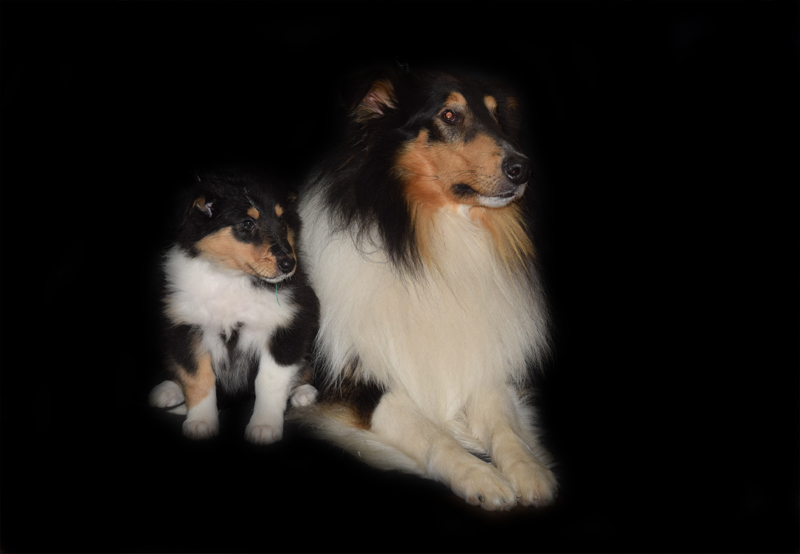 8W d grün Lamia Kopie