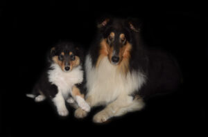 8W gelb Leeroy Kopie