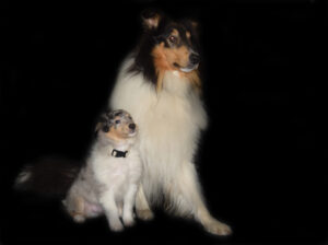 8W grau Livius Kopie