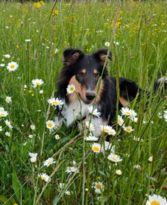 122cab25-b3f5-4132-874f-31b755d8ae92