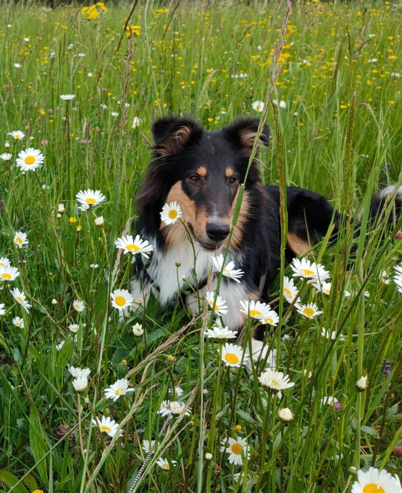 122cab25-b3f5-4132-874f-31b755d8ae92