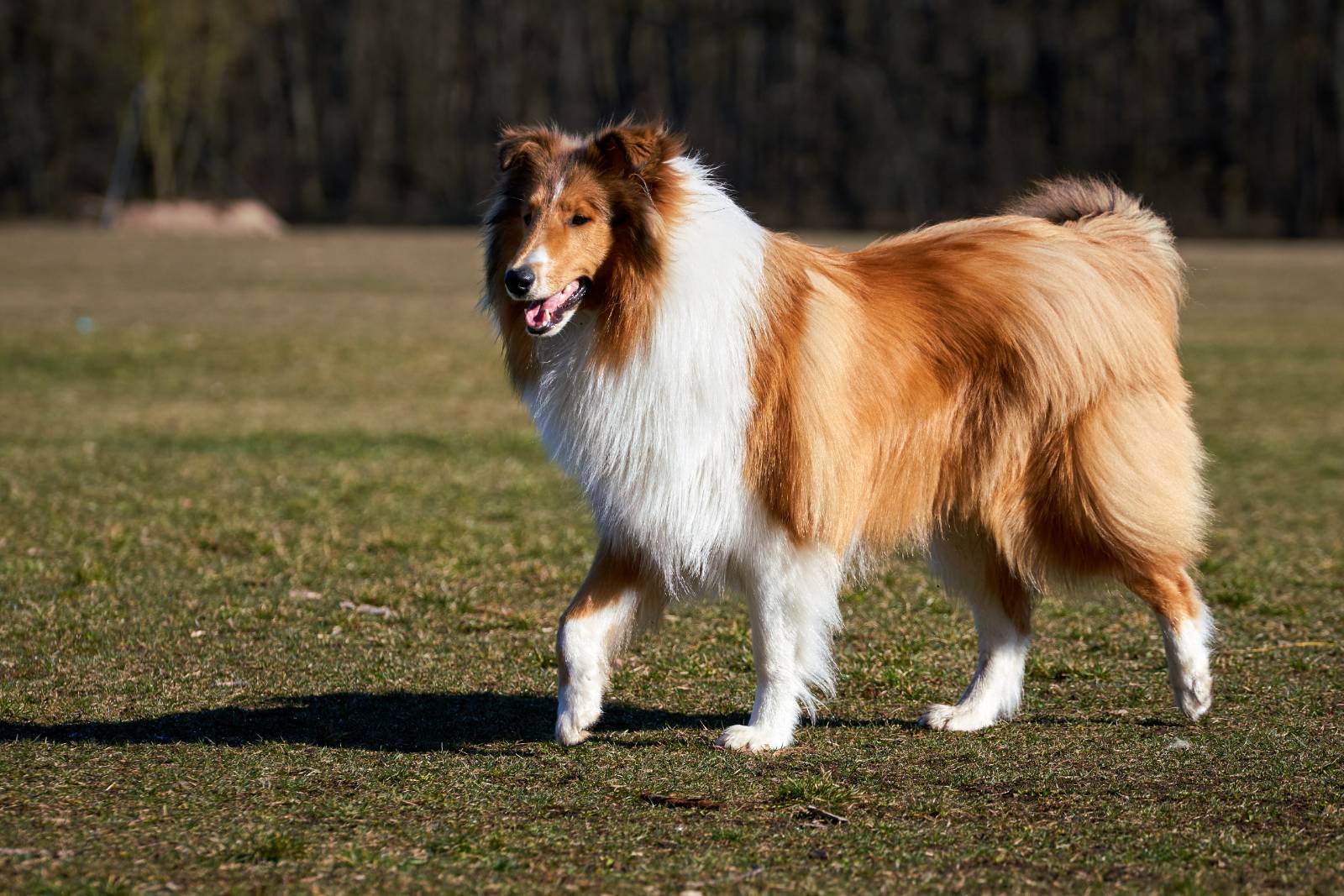 1d2dd7d6-9242-4f55-8567-d7457ea3e19b