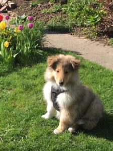 33824128-ee01-49c6-bd8e-5b966d285dc9